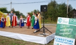 Всероссийский экологический субботник «Зелёная неделя»